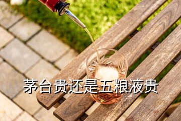 茅臺貴還是五糧液貴