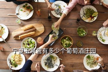 寧夏玉泉營有多少個葡萄酒莊園