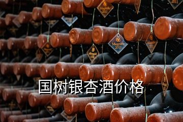國(guó)樹銀杏酒價(jià)格