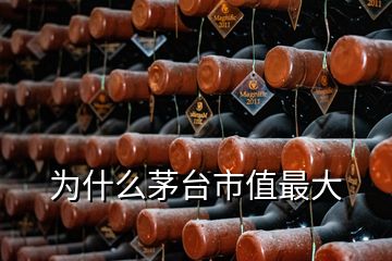 為什么茅臺市值最大