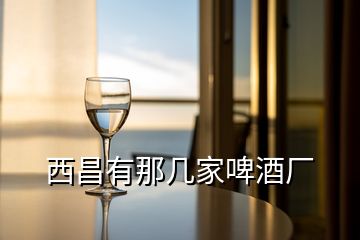 西昌有那幾家啤酒廠(chǎng)