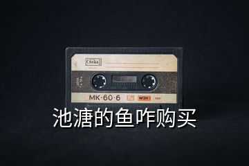 池溏的魚(yú)咋購(gòu)買(mǎi)