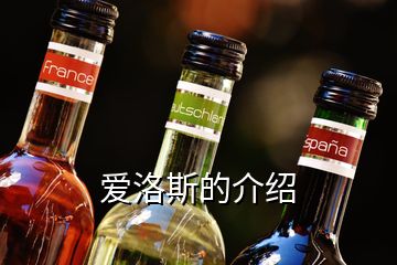 愛(ài)洛斯的介紹