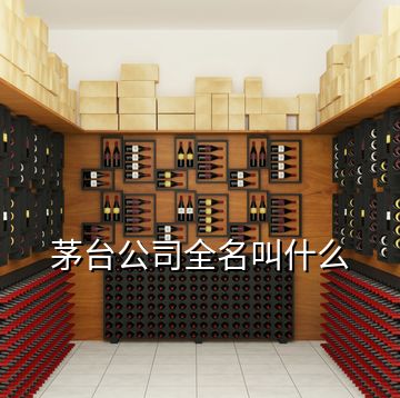 茅臺公司全名叫什么