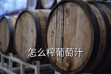 怎么榨葡萄汁