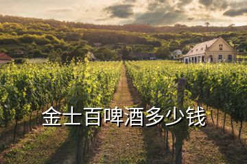 金士百啤酒多少錢(qián)