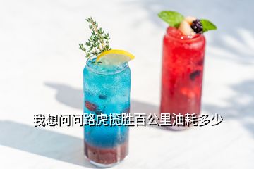 我想問(wèn)問(wèn)路虎攬勝百公里油耗多少