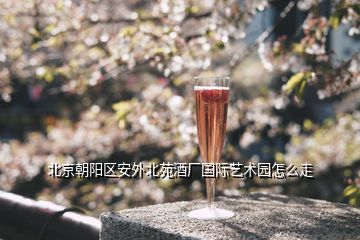 北京朝陽(yáng)區(qū)安外北苑酒廠國(guó)際藝術(shù)園怎么走