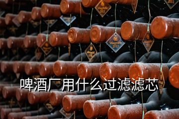 啤酒廠用什么過(guò)濾濾芯