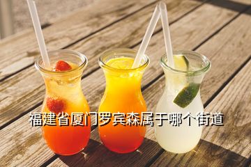 福建省廈門羅賓森屬于哪個街道