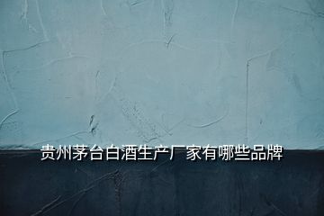 貴州茅臺白酒生產(chǎn)廠家有哪些品牌