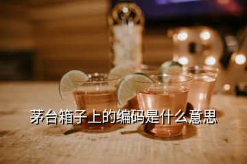 茅臺箱子上的編碼是什么意思