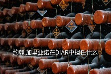 約翰 加里亞諾在DIAR中擔任什么