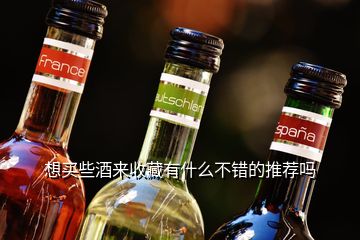 想買(mǎi)些酒來(lái)收藏有什么不錯(cuò)的推薦嗎