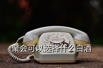 聚會(huì)可以選擇什么白酒