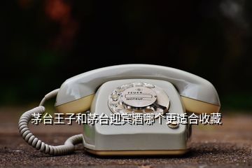 茅臺(tái)王子和茅臺(tái)迎賓酒哪個(gè)更適合收藏