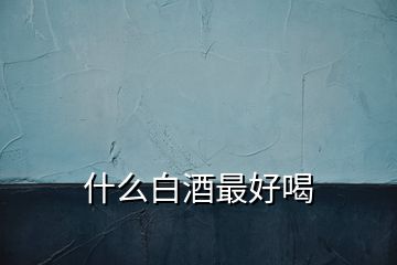 什么白酒最好喝