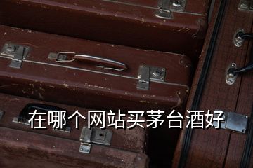 在哪個(gè)網(wǎng)站買茅臺(tái)酒好