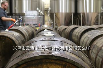 義烏市云盟企業(yè)管理咨詢(xún)有限公司怎么樣