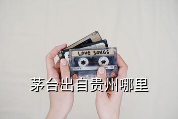 茅臺出自貴州哪里