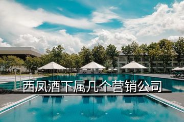 西鳳酒下屬幾個營銷公司