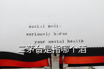 二茅臺是指哪個酒