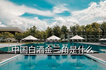 中國(guó)白酒金三角是什么