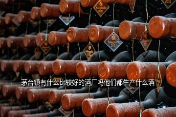 茅臺(tái)鎮(zhèn)有什么比較好的酒廠嗎他們都生產(chǎn)什么酒