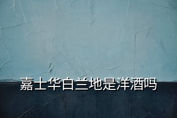 嘉士華白蘭地是洋酒嗎