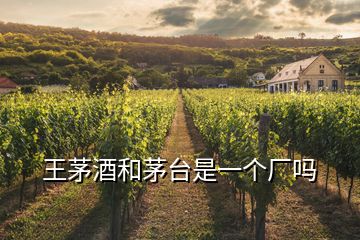 王茅酒和茅臺是一個廠嗎
