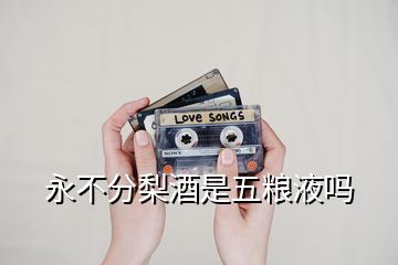 永不分梨酒是五糧液嗎
