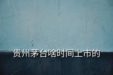 貴州茅臺啥時間上市的