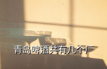 青島啤酒共有幾個(gè)廠