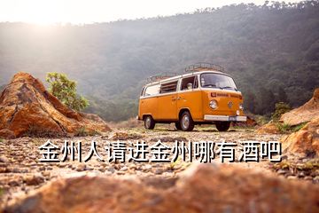 金州人請(qǐng)進(jìn)金州哪有酒吧