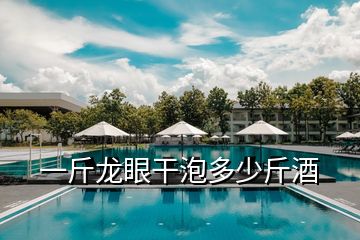 一斤龍眼干泡多少斤酒
