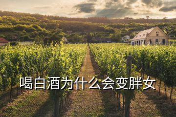 喝白酒為什么會(huì)變胖女
