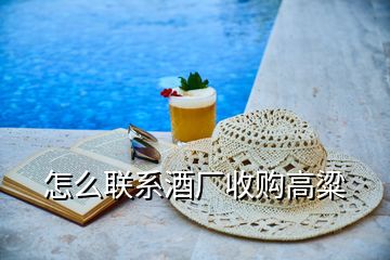 怎么聯(lián)系酒廠(chǎng)收購(gòu)高粱