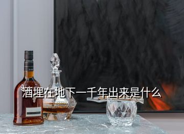 酒埋在地下一千年出來(lái)是什么