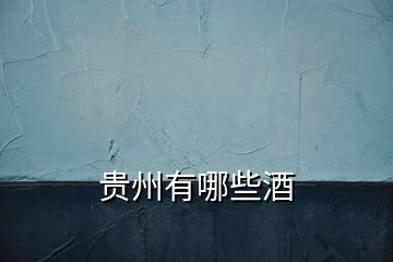 貴州有哪些酒