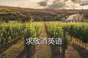 求敬酒英語(yǔ)