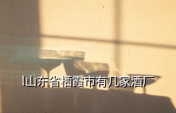 l山東省棲霞市有幾家酒廠(chǎng)