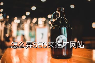 怎么弄SEO來(lái)推廣網(wǎng)站