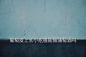葡萄皮上長小疙瘩能做蒲萄酒嗎