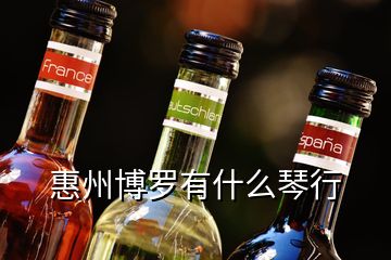 惠州博羅有什么琴行