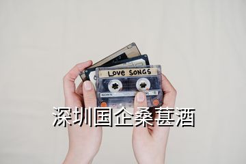 深圳國(guó)企桑葚酒