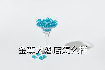 金尊大酒店怎么樣