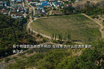 有個物理題忽然想不明白  在線等 為什么白酒質(zhì)量的表達(dá)式
