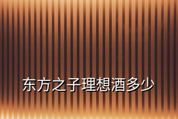 東方之子理想酒多少