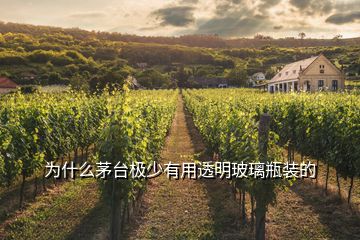 為什么茅臺極少有用透明玻璃瓶裝的