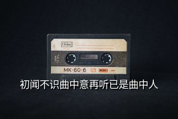 初聞不識(shí)曲中意再聽已是曲中人